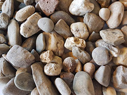 25 kg gewaschener Grauer Rheinkies 16-32 mm - Teichkies Waschkies Zen Garten Lieferung KOSTENLOS