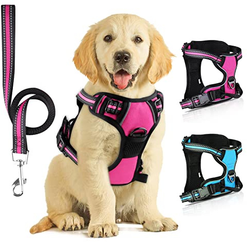 SIBOTER Harnais Chien, Harnais Anti Traction pour Chien, Harnais Chien Anti Traction Réfléchissant, avec Laisse pour Chien, pour Entraînement en Plein Air (Rose, S)