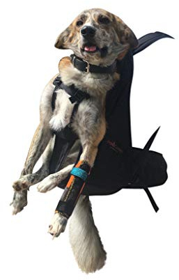 Dog Carrier T2 Rucksack für Hunde von 9 bis 16kg als Hunderucksack/Hundetrage/Hundetasche/m. integrierten Wanderrucksack/Leg Free Dog Carrier/Leg Free Rucksack Hund