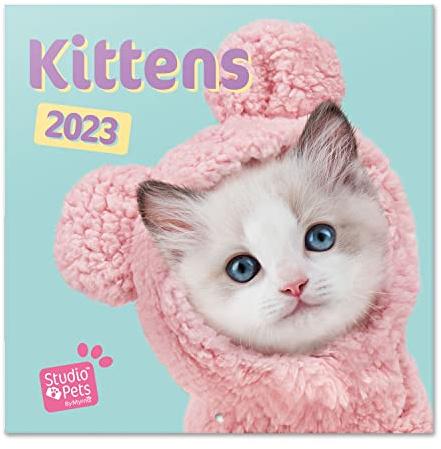 Grupo Erik Studio Pets Kittens Wall Calendar 2023 12' x 12' FSC| 12 Month Planner | Square Wall Calendar 2023 | Family Planner Calendar 2023 | Cat Calendar 2023 | + 4 Bonus Months