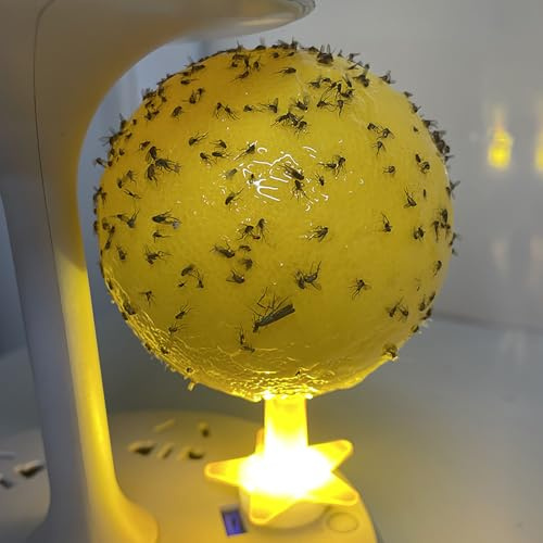 4/8pcs Boules collantes Anti-Mouches des Fruits,capteur de Mouches fruitiers Piège Collant, Fruit Fly Trap, Boule Collante Mouche Cuisine Boule Anti Mouch Répulsifs à moustiques (C-8pcs Light)