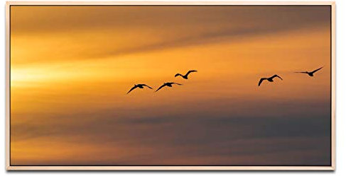 Vögel im Himmel ca. 130x70cm Wandbild inklusive Schattenfugenrahmen naturfarbend - Panorama Leinwand Bild XXL Format Wandbilder Wohnzimmer Wohnung Deko Kunstdrucke