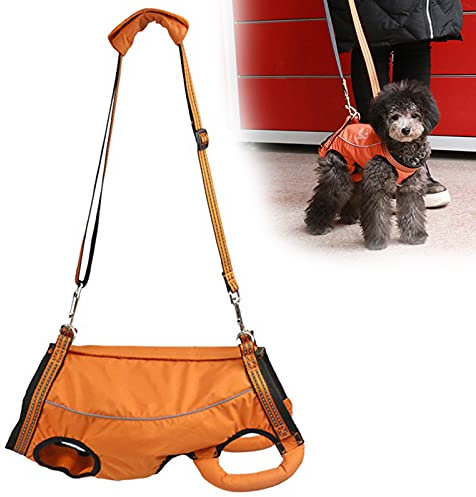 PJDDP Hundegeschirr Tragehilfe Verstellbarer Gehhilfe Hilfsgeschirr Hund Unterstützung Harness Hunde Rehahilfe Weste Brustgeschirr Tragehilfe Für Alte & Verletzte Hunde,Orange,S