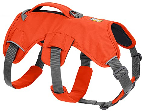 RUFFWEAR Mehrzweck-Hundegeschirr mit Griff, Web Master, verstellbares, Geschirr, 2 Leinenbefestigungen, für den täglichen Gebrauch, Blaze Orange, XXS