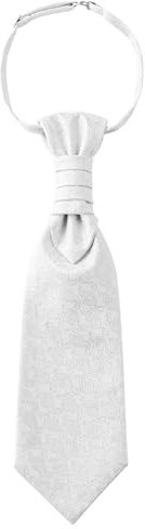 WANYING Herren Plastron Krawatte Vorgebunden mit Hakenverschluß Verstellbar Hochzeitskrawatte auf Hochzeiten Accessoires für den Bräutigam - Paisley
