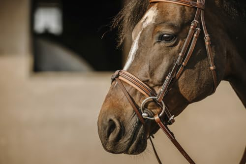 Ekkia Eric Thomas Trense Trensenzaum Work Büffelleder Havana Sperriemen abnehmbar, Größe Pferd:Pony