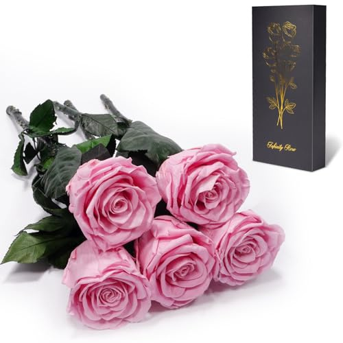 Yamonic Ewige Rose Geschenke für Frauen,Infinity Rose mit Stiel Geburtstagsgeschenk für Frauen, Echte Rose in Geschenkbox,Konservierte Blumen Geschenk Weihnachten Valentinstag Deko Geschenk, 5 Rosen