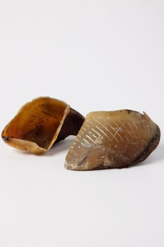 XL nötköttsskor för hundar - naturlig godis 100 % torkat nötkött - långvarig tuggning, tandhälsa, minskad tandsten och plack - idealisk för medelstora och stora hundar - 5 enheter - Frankrike