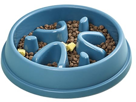 Gamelle pour Chien à Alimentation Lente, Gamelle pour Chien à Alimentation