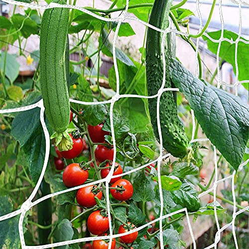 CANAGROW Ranknetz 1.8 x 4.5m/6x15ft Pflanzennetz Gurkennetz Rankhilfen Gartennetz mit Großer Maschenweite für Kletterpflanzen Früchte Gurken Erbsen Tomaten Bohnen, Weiß, 1 Packung