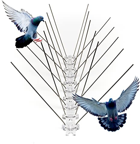 SPIRDS 3 m (12x25 cm) Balkon-Taubenabwehr Dichte Stacheln, Vogelabwehr zum Schutz von Blumenkasten Fensterbank Simse Dach, Taubenabwehr-Spikes rostfreier Stahl, Taubenabwehrspitzen, 80 Stacheln/Meter