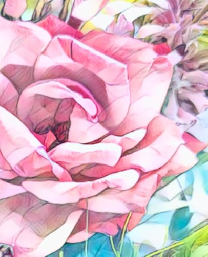 Journal: Blooms on Vine Series - Book 1