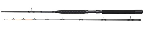 DAM Salmonizer Trolling 7'/2.10M M 12-25Lbs 2Sec