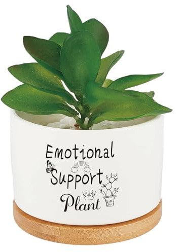 CRASPIRE Maceta Pequeña Cerámica Blanca Diseño Aloe Vera Cactus Suculentas Bandeja Madera Orificio Drenaje Ideal Interiores Exteriores Ideal Oficina Alféizar Ventana Escritorio Decoración(Sin Plantas)