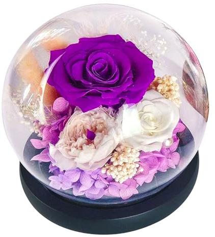Beafaoo Ewige Rose Im Glas, Violett Infinity Rose, Ewige Blumen für Mütter, Freundinnen und Freundinnen, Valentinstag, Muttertag, Geburtstagsgeschenke