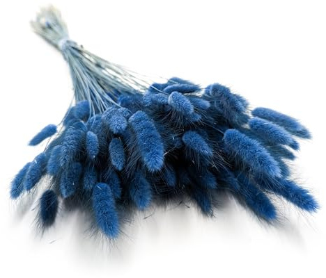 Enchanted Dekogras Getrocknetes Gras Ziergras Hasenschwänze Lagurus Ovatus Samtgras Häschen-Schwanzgras Trockenblumen Natürlich Boho 120 - 150 Stück 100 g Blau