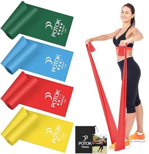 Resistance Exercise Band Kit - 4 Pack Resistance Bands for Women or Men,Physiotherapy Recovery Fitness Band for Mobility Strength & Rehab Premium Quality