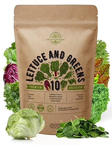 Organo Republic 10 Lettuce & Salad Greens Seeds Variety Pack 4800+ Non-GMO Heirloom Lettuce Seeds for Planting Indoors & Outdoors Garden, Hydroponics - Arugula, Radicchio, Kale, Spinach, Swiss Chard