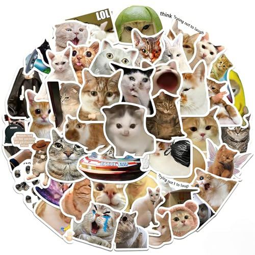QIANSSE 100PCS Funny Cat Meme Waterproof Vinyl Sticker Pack