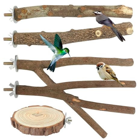 Natur Sitzstangen Set, 5 Stück Naturholz Vogel Sitzstangen Vogelständer Vogelkäfig Zubehör Vogelzubehör Vogelspielplatz für Vögel Wellensittich Nymphensittich Kanarienvogel