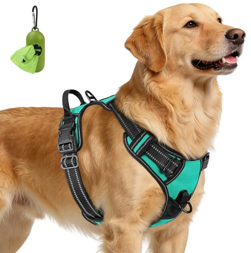 Joytale Anti-Traction Harnais Très Grand Chien, Turqoise, XL | Coupe ajustée & réglable, rembourré & confortable, 2 points d'attache (avant & arrière), poignée pratique, pour promenade