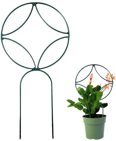 Shitafe Zimmerpflanzenspalier, Pflanzenspalier für Kletterpflanzen im Innenbereich | Gartenspalier zur Unterstützung von Topfpflanzen,Kleines Zimmerpflanzen-Gitter aus Metalldraht, 25,4 cm,
