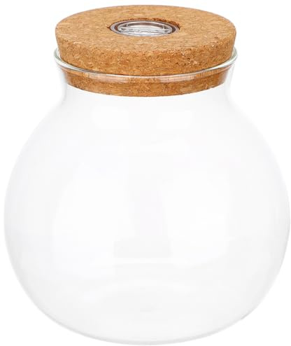 SEWACC Petit Pot avec Couvercle en Liège en Verre Hydroponique Rond Récipient Transparent Élégant pour Plantes et Fleurs, pour Décoration Bureau et Intérieur