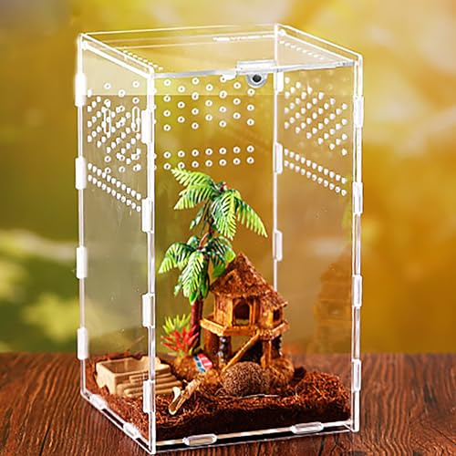 xixibuy Reptile terrarium tank, Terrarium Breeding Box, Mini reptile tank, Terrarium Kit for Spiderlings,Insect,Snail,Gecko,Bearded Dragon(Acrylic-12*12*20cm)