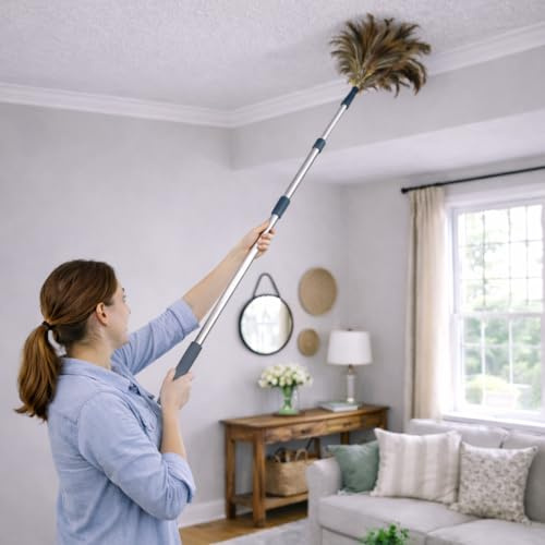 Home Valet Extra Large Ostrich Feather Duster head with extendible handle