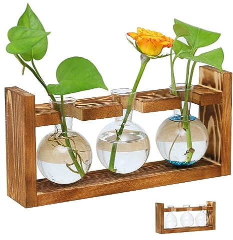 Hilai Pots de Fleurs, Stations de Propagation des Plantes Planter en Verre de Terrarium Plante avec Support en Bois pour Plantes hydroponiques décoration de Maison de Bureau
