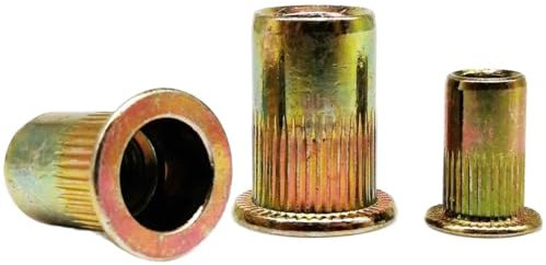 LXURY 10/20 Stück M3 M4 M5 M6 M8 M10 M12 Kohlenstoffstahl Flachkopf Metrisches Gewinde Blindnietmutter Einsatz Rivnut Nutsert Bolzenschraube B (Size : 20pcs M6)