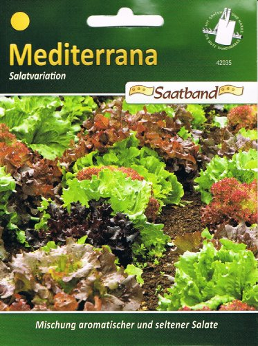 Mediterrane Salatvariation Saatband Salat 42035