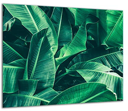 TMK - Copri piano cottura induzione 60x52 cm copertura per piano cottura in vetroceramica 1 pezzi universale per piastre di cottura paraspruzzi tagliere in vetro temprato come decorazione, pianta