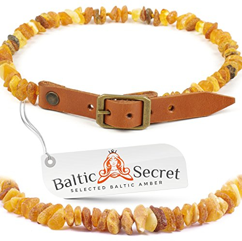 Bernsteinkette Hund, Bernsteinhalsband für Hunde & Katzen, mit 100% Lederband, Echt Baltischer Bernstein gegen Zecken, Zeckenschutz, Flohhalsband Katze (35-40 cm, Orange Leder)