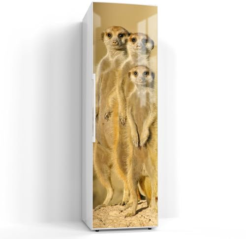 DEQORI Magnetfolie für Kühlschrank 60x200 cm | Motiv Wachsame Freunde | dekorative Magnetmatte Gefrierschrank Schutz | Magnet Deko-Folie selbstklebend, magnetisch & beschreibbar