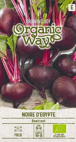 Organic Way | BETTERAVE ROUGE NOIRE D'ÉGYPTE des graines | Graines de légumes | 1 Paquet