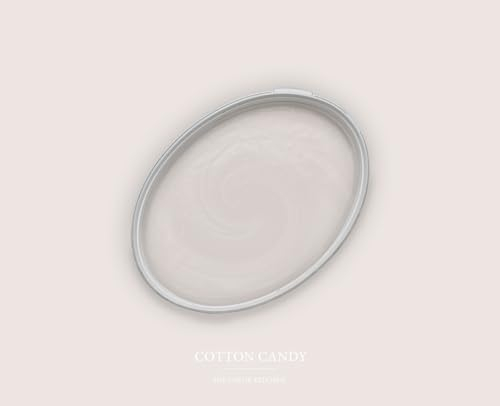 BRICOFLOR Creme Farbe für Wand Dispersionsfarbe gut deckend ideal für Badezimmer und Flur Moderne Wandfarbe Eierschale