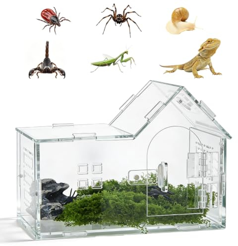 DICOSMETIC 1 Stück Springspinne Gehäuse Acryl Transparentes Gehäuse Großes Reptilien Zucht Terrarium Haus Form Vogelspinnen Gehege Für Kleine Reptilien Spinnen Amphibien