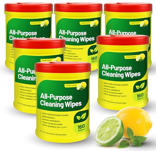 RTS Companies Inc All Purpose Citrus Scented Biodegradable Multi Surface Cleaning Wipes - 160 Wipes (Pack of 6)