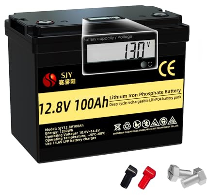 SaiJiaoYang Batería LifePO4 de 12V 100Ah, batería de litio con 100A BMS 10000 Batería LiFePO4 de ciclo profundo con LCD ideal para Off-Grid, RV, sistema solar, barco, caravana, remolque de viaje