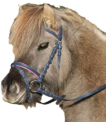 WALDHAUSEN Trensenzaum Unicorn 2