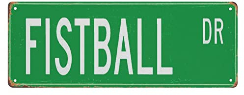 Vintage Retro Metall Street Sign Fistball, Fistball Sign, Fistball Fan, Fistball Gift, Fistball Player, Similar to Volleyball 16x6