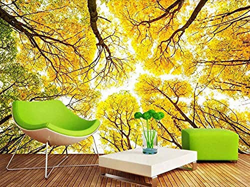 Yellow Woods Sky 3D Wall Murals Living Room Sofa Tv Wall Bedroom Wallpaper Wallpaper Grey Wall Sticker Border self Adhesive Brick Bathroom Silver Bedroom Borders Glitter Kitchen Steamer r-250cm×175cm