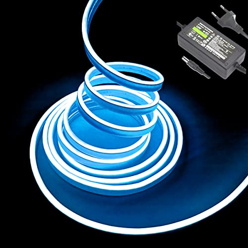 Balabaxer Striscia LED blu ghiaccio neon 16,4 piedi/5 m 12 V DC 600 SMD2835 LED tubo luminoso impermeabile per interni ed esterni decorazione della casa (con alimentatore di rete)