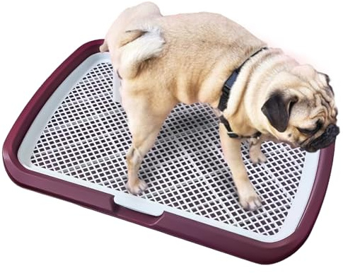 Hundetoilette Flachdesign mit wasserdichter Basis, herausnehmbarem Tablett & rutschfesten Füßen – für Welpen und Erwachsene Hunde – Ideal für Indoor, Balkon oder Reisen (Grau, 65 * 50 (Rot)