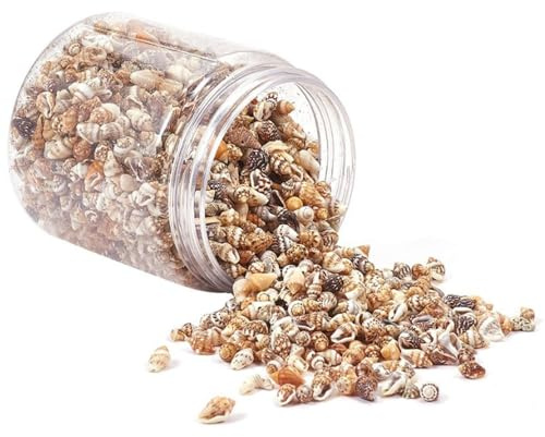 YRsorn Muscheln Deko - Muscheln zum Basteln DIY Handwerk Schmuck Komponenten Aquarium, Vase Füllstoffe