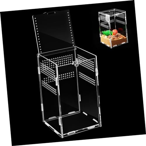 Abaodam Reptiliengehege Springspinnen Terrarium Acryl Transparent 12x12x20cm Vielseitiges Schildkröten Und Schlangengehege Für Terrarienzucht Und Beobachtung