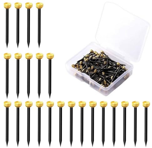 Dreamil Set di 50 chiodi per quadri, in ottone, con contenitore per unghie, per cornici, bacheche, tela (lunghezza 2,5 cm)