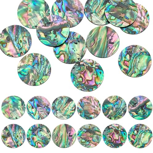 WADORN cabochon en Coquillage D'Ormeau Naturel, Breloques en Coquillage de Paua Rounde en Vrac