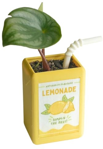 Vase Vintage - Planteur De Carton De Lait, Pot À Fleurs Décoratif | Vase De Conception De Boîte À Jus Mignonne pour Succulentes, Porte-Stylo De Bureau, Conteneur De Rangement, Décoration De Ma